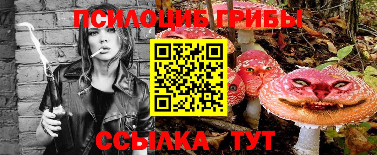 Псилоцибиновые грибы Cubensis Иваново